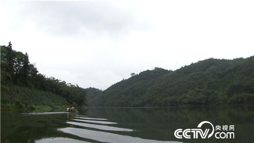 致富经：小秋香的野财富(20170911)