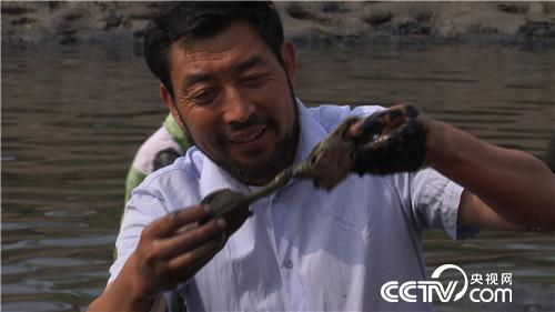 致富经：我要养鳖 我要出名(20170918)