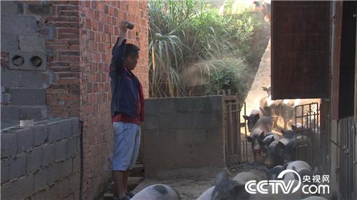 致富经：50次相亲失败之后(20170919)