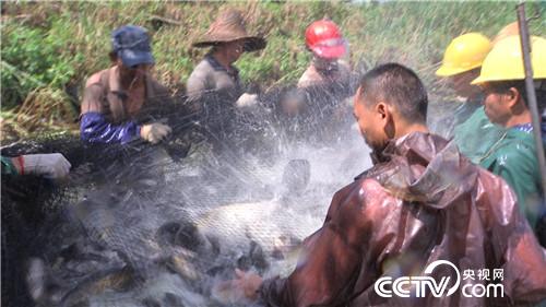 致富经：渔夫会武术 赚钱有招数(20170925)