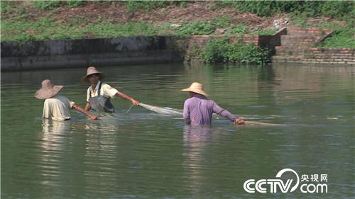 致富经：渔夫会武术 赚钱有招数(20170925)