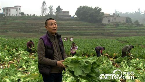 致富经：两个落魄男人靠坛子赚千万