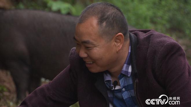 致富经：让懒猪变勤快 年入千万财(20171010)