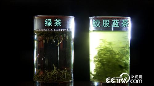 致富经：&ldquo;神草&rdquo;的惊人财富（20171016）