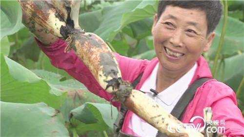 致富经：老爷们 女汉子 赚钱一个赛一个(20171020)