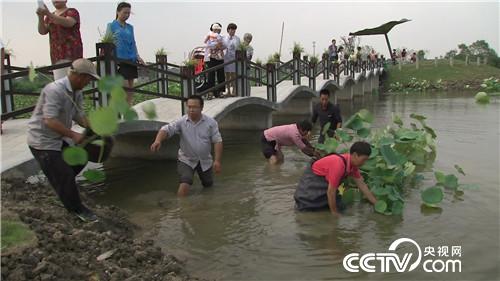 致富经：老爷们 女汉子 赚钱一个赛一个(20171020)