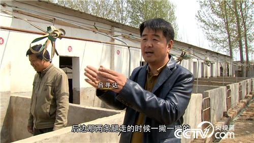 致富经：好吃男人赚钱快 怪招一个一个来(20171027)