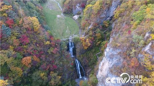 乡土节目看点：枫林深处有人家 11月16日