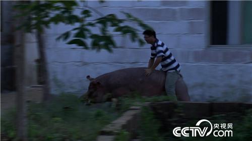 致富经：见招拆招 年轻人赚钱有妙招(20171117)