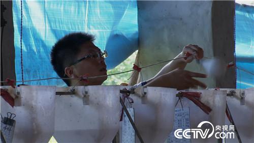 致富经：见招拆招 年轻人赚钱有妙招(20171117)