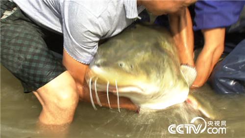 致富经：他的财富最怕热 偏偏要在火城求(20171121)