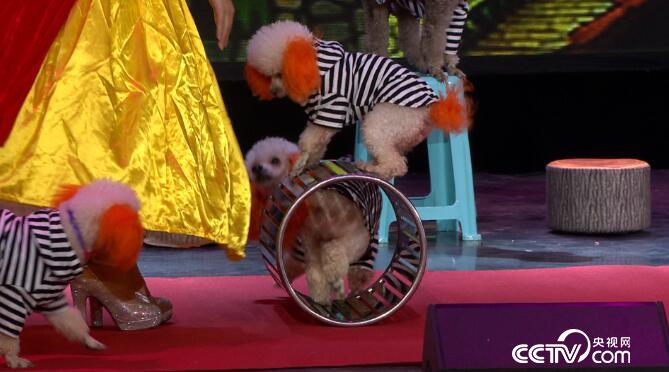 阳光大道：为你点赞 11月26日