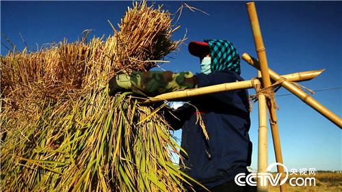 致富经：扛麻袋小伙被骗之后 发了(20171123)