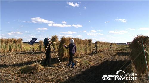 致富经：扛麻袋小伙被骗之后 发了(20171123)