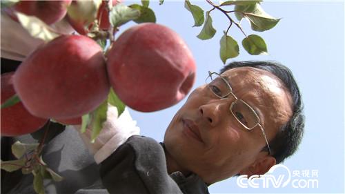 致富经：因为红色之爱 银行行长辞职了(20171129)