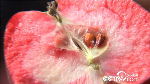 致富经：因为红色之爱 银行行长辞职了(20171129)