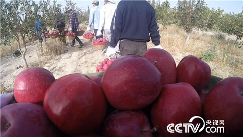 致富经：因为红色之爱 银行行长辞职了(20171129)