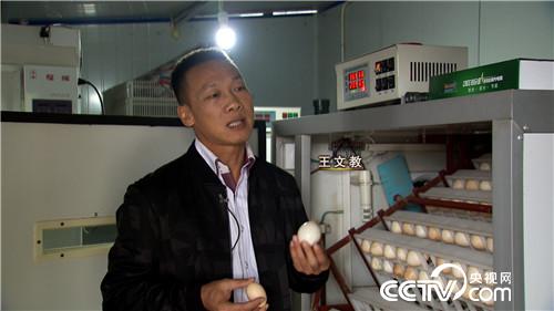 致富经：花了老婆七年钱 如今翻身入千万(20171201)