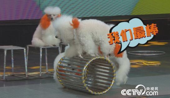 阳光大道：为你点赞 12月17日