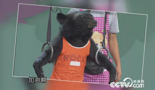 阳光大道：为你点赞 12月17日