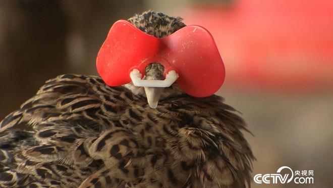 他拼命省钱 却有钱不赚 图啥？