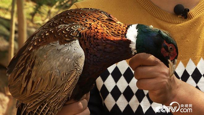 他拼命省钱 却有钱不赚 图啥？