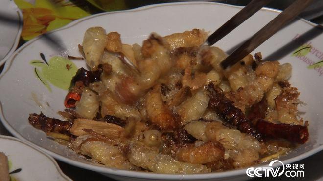 我和杀人蜂的60天