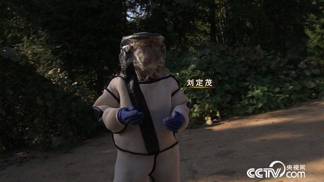 我和杀人蜂的60天