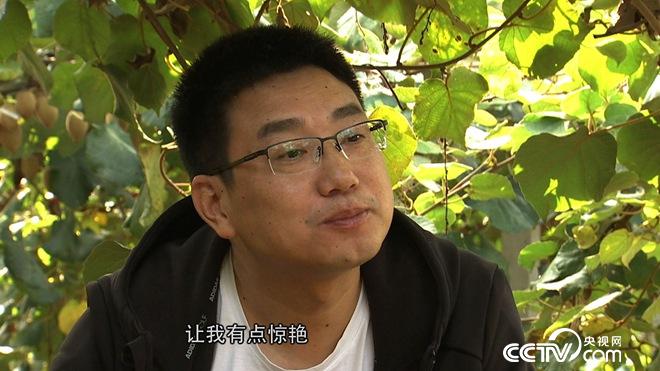 穷小伙发财后 700万买下一堆柴火棍儿