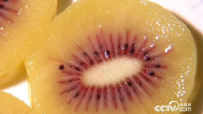 穷小伙发财后 700万买下一堆柴火棍儿