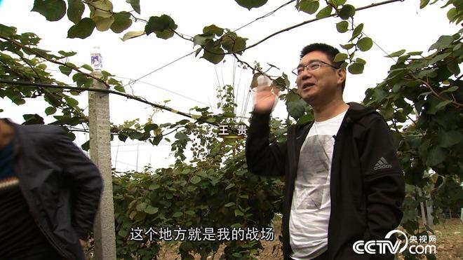 穷小伙发财后 700万买下一堆柴火棍儿