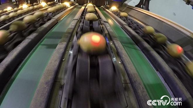 穷小伙发财后 700万买下一堆柴火棍儿