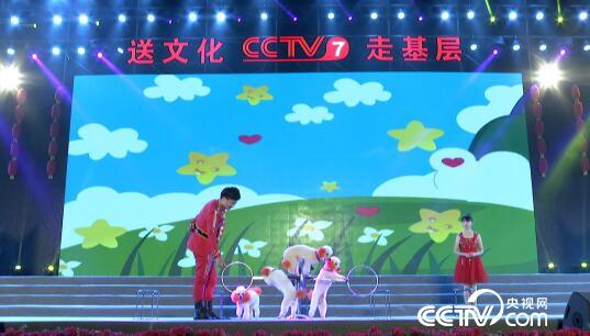 阳光大道：温暖同行 牵手百色 教育扶贫大联欢 1月1日