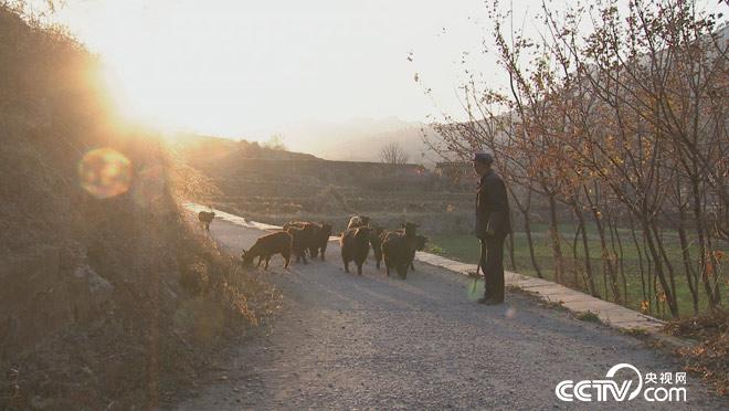 乡土：莱芜寻&ldquo;黑&rdquo;记 1月5日