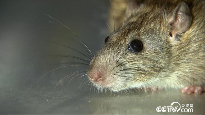 大学毕业干啥能赚百万