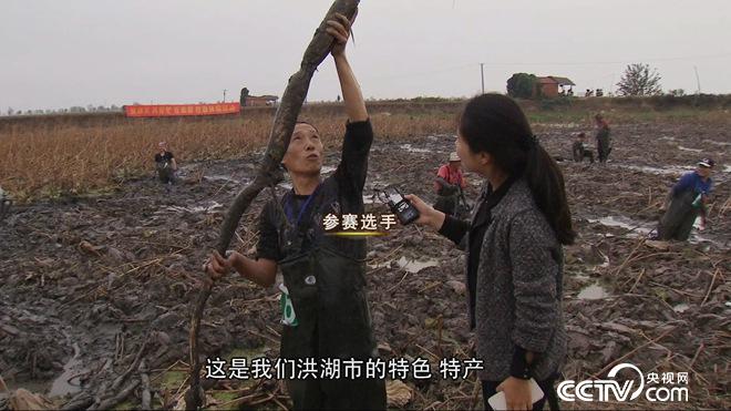 大学毕业干啥能赚百万