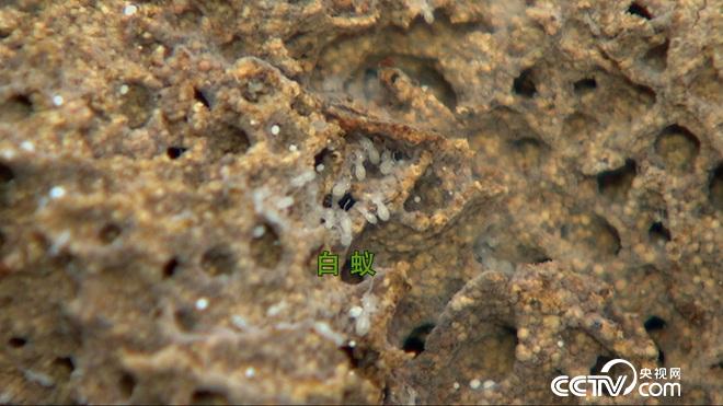 大学毕业干啥能赚百万