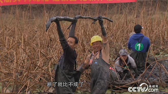 大学毕业干啥能赚百万