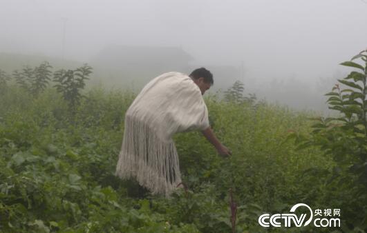 绿色时空：有一笔&ldquo;苦&rdquo;尽甘来的财富 1月14日