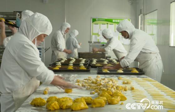 绿色时空：有一笔&ldquo;苦&rdquo;尽甘来的财富 1月14日