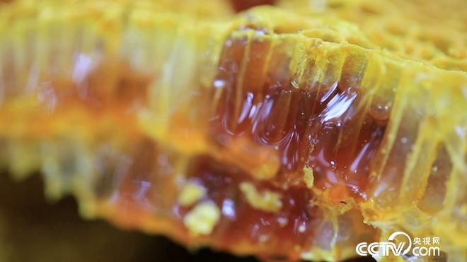 陷入绝境后 他跑进深山靠什么年入4000万？