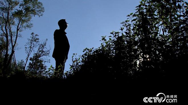 陷入绝境后 他跑进深山靠什么年入4000万？