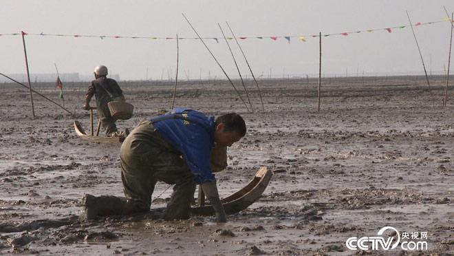 乡土：象山的冬日 1月22日