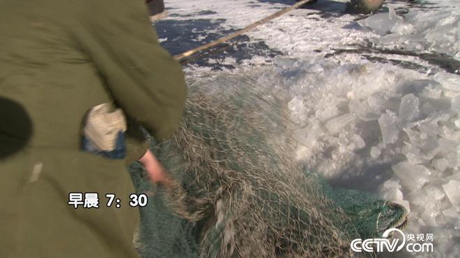 隆冬季节巧赚钱