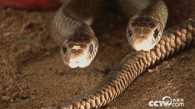 隆冬季节巧赚钱