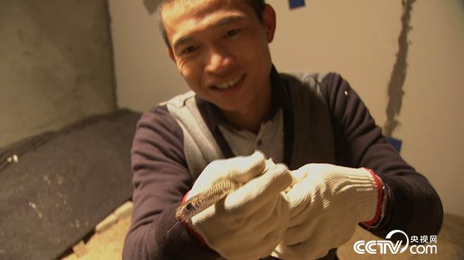 隆冬季节巧赚钱