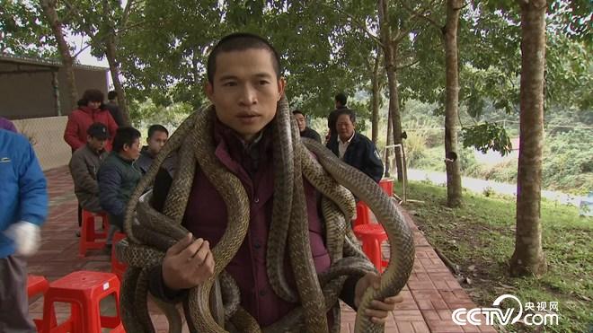 隆冬季节巧赚钱