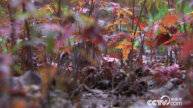 76岁患癌老人误打误撞收获6亿财富