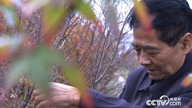 76岁患癌老人误打误撞收获6亿财富