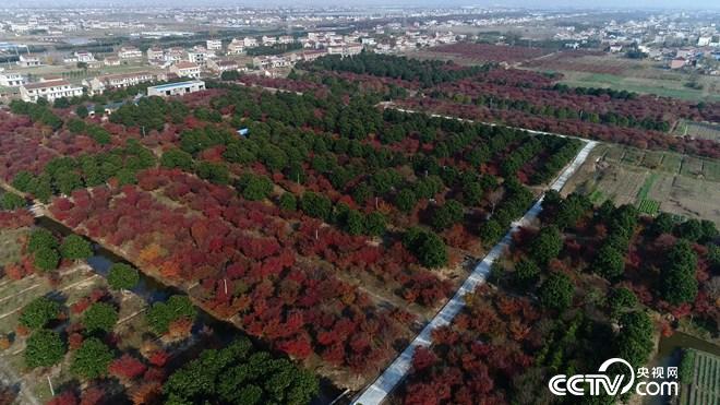 76岁患癌老人误打误撞收获6亿财富